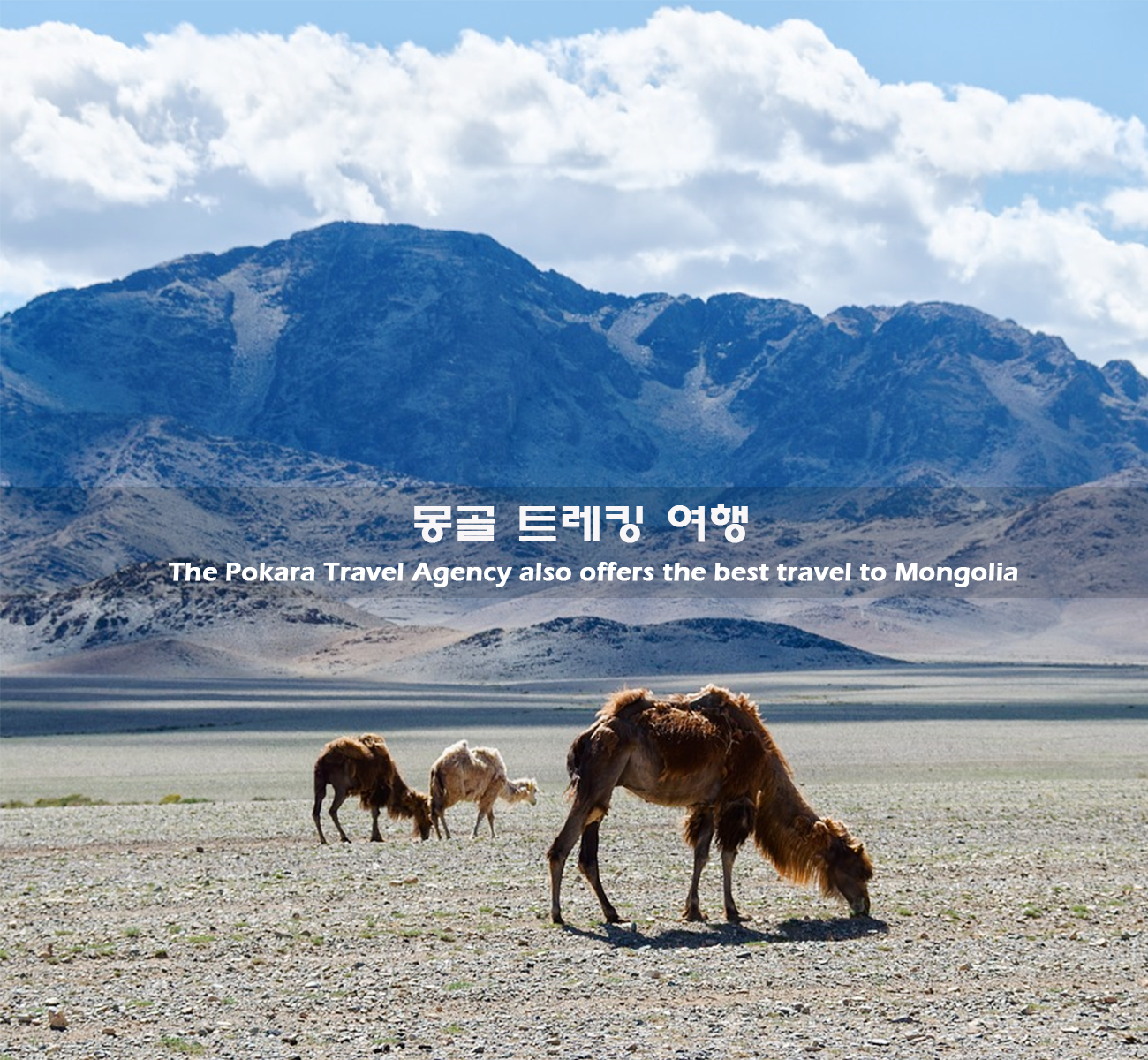 몽골 고비사막 & 테를지 트레킹