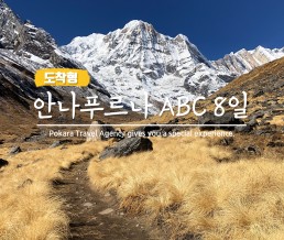 안나푸르나 ABC 트레킹